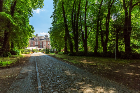 Dreef in kasteelpark met in de verte kasteel Vilain XIII