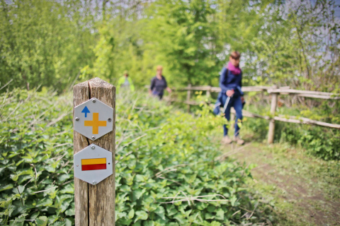 Grote Routepaden