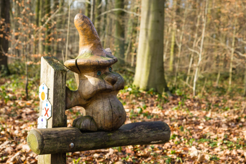 Kabouter in bos