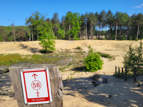 Duinenpark Molenheide