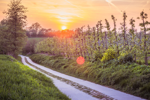 Zonsondergang Grootloon